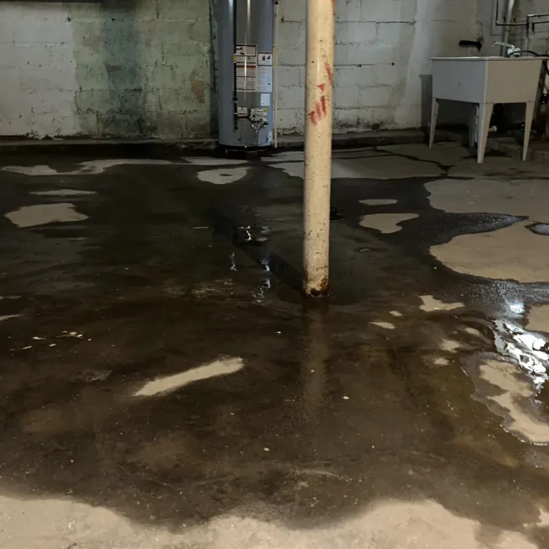 Emergency Water Extraction And Removal in Joplin, MO